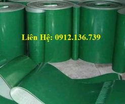 Băng tải PVC xanh