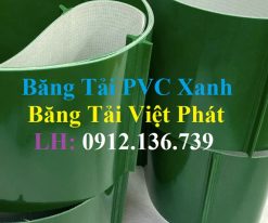 Màu xanh lá đậm đặc trưng của băng tải pvc xanh