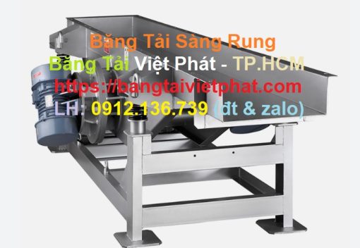 Băng Tải Sàng Rung: 02 Ứng Dụng Chính Trong Công Nghiệp
